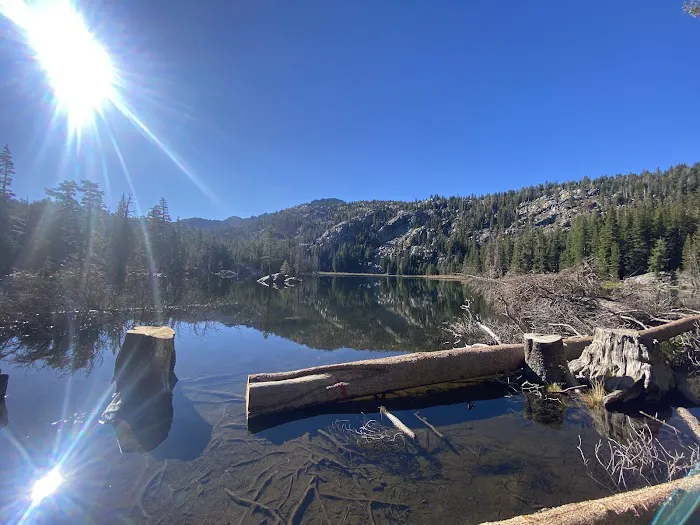 Woods Lake Campground Picture 2