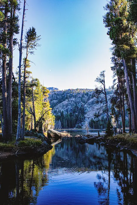 Woods Lake Campground Picture 6
