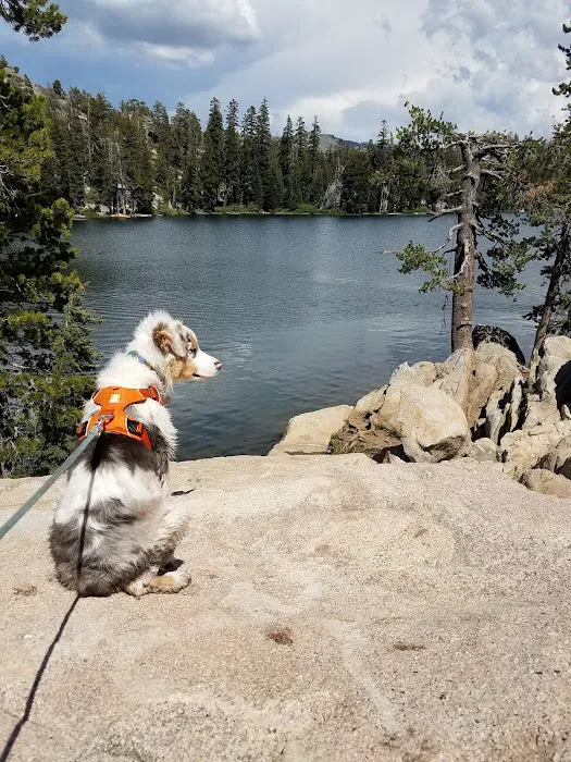 Kirkwood Campground Picture 2