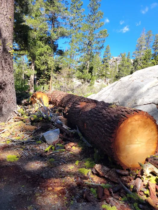 Kirkwood Campground Picture 5