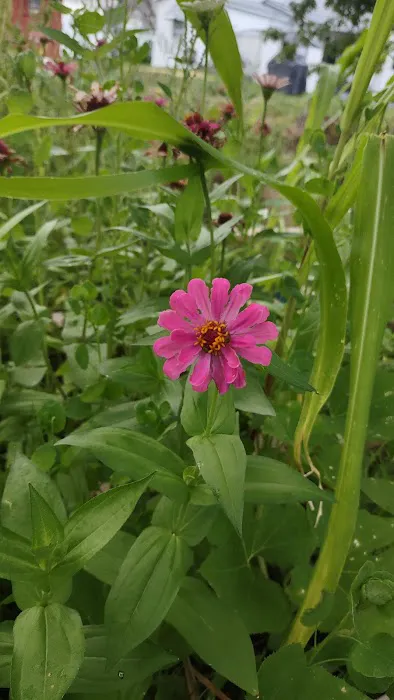 Kirkwood Estates Picture 5