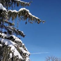 Kirkwood Estates ico