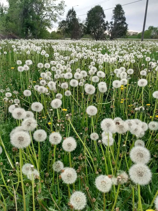 Kirkwood Estates Picture 4