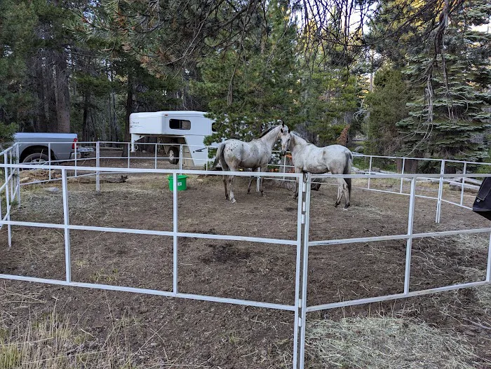 Wrights Lake Equestrian Camp Picture 2