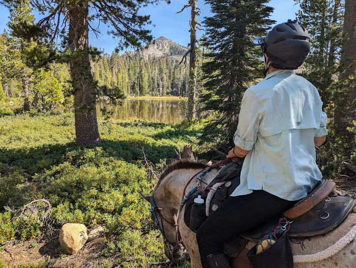 Wrights Lake Equestrian Camp Picture 6