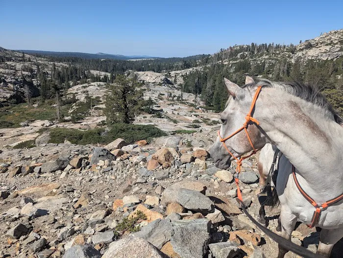 Wrights Lake Equestrian Camp Picture 1