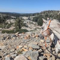 Wrights Lake Equestrian Camp ico