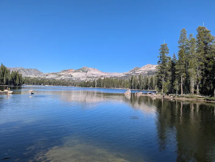 Wrights Lake Equestrian Camp Picture 5