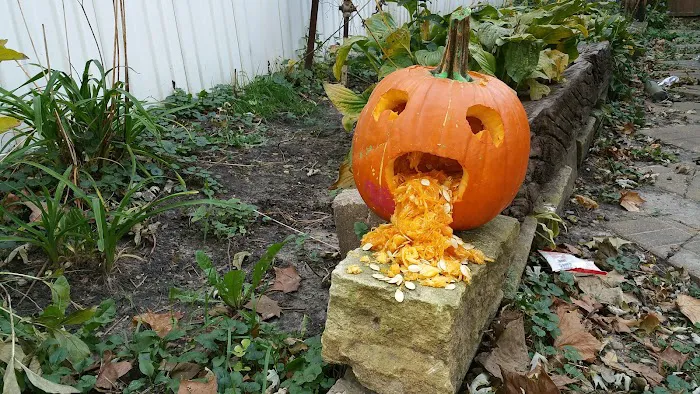 Edgewood Forest Mobile Home Park Picture 2