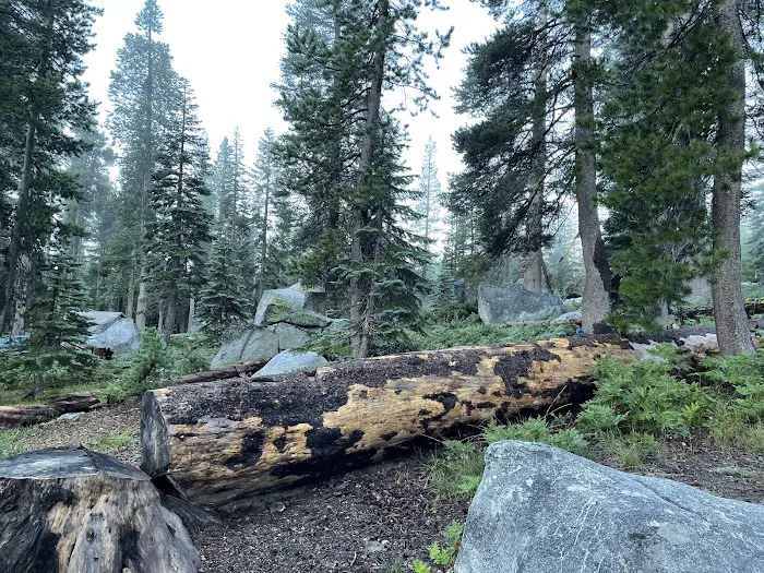 Wrights Lake Campground Picture 8