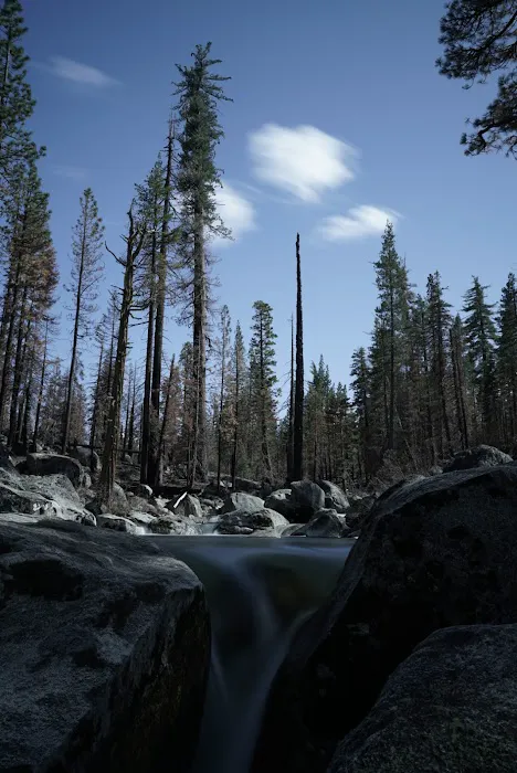 Gray Rock Campground Picture 1