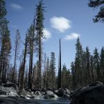 Gray Rock Campground