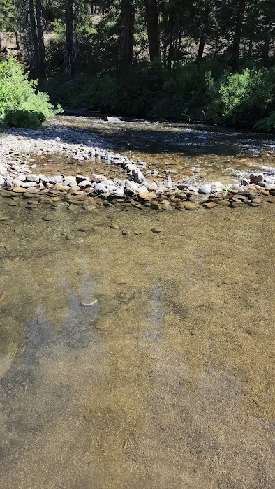 Gray Rock Campground Picture 5