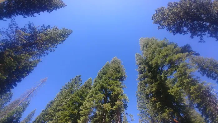 Gray Rock Campground Picture 6