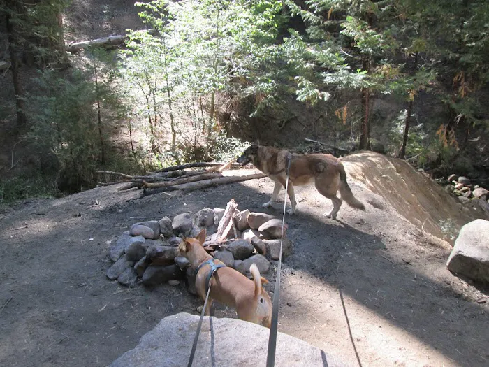 Gray Rock Campground Picture 7