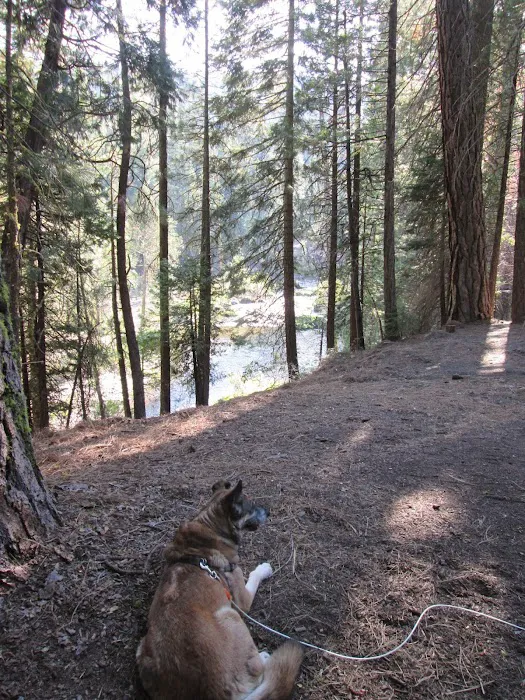 Gray Rock Campground Picture 3