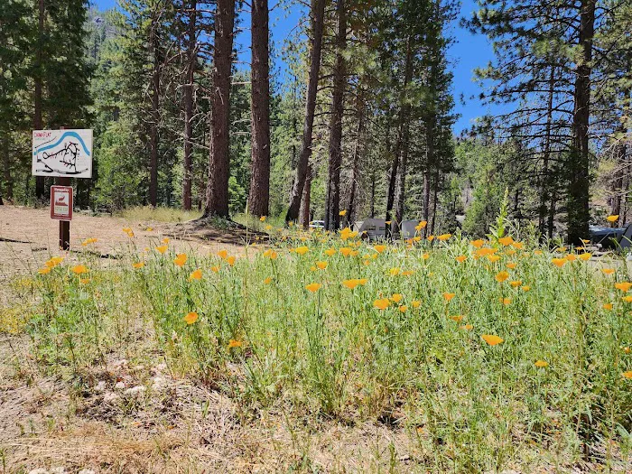 China Flat Campground Picture 2