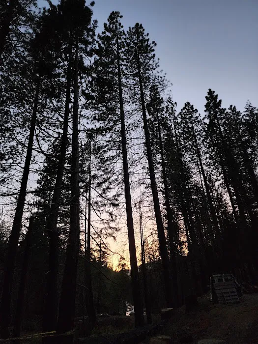 China Flat Campground Picture 4