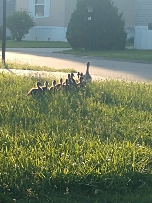 Summit View Village Picture 3