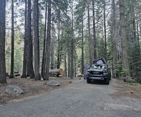 Silver Fork Campground