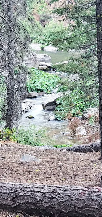 Silver Fork Campground Picture 6