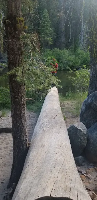 Silver Fork Campground Picture 2