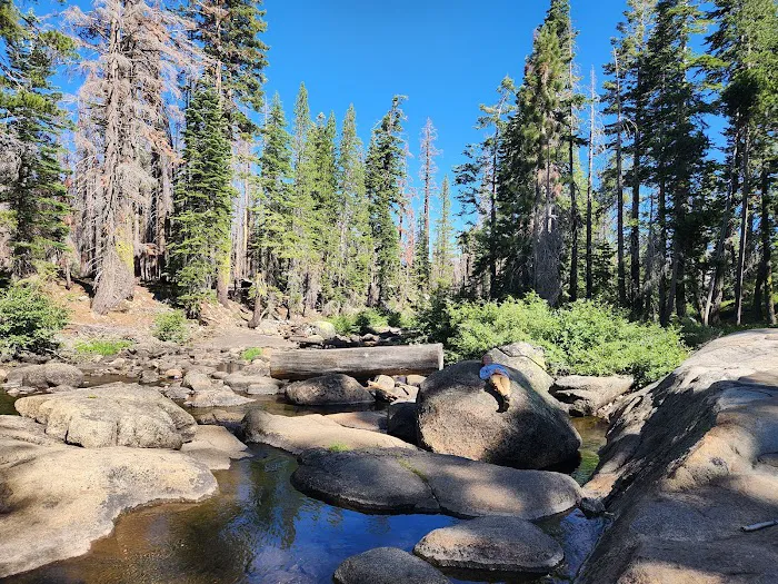 Silver Lake Campground West Picture 8