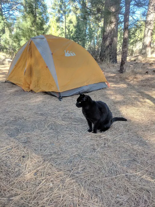 Turtle Rock Park Campground Picture 7