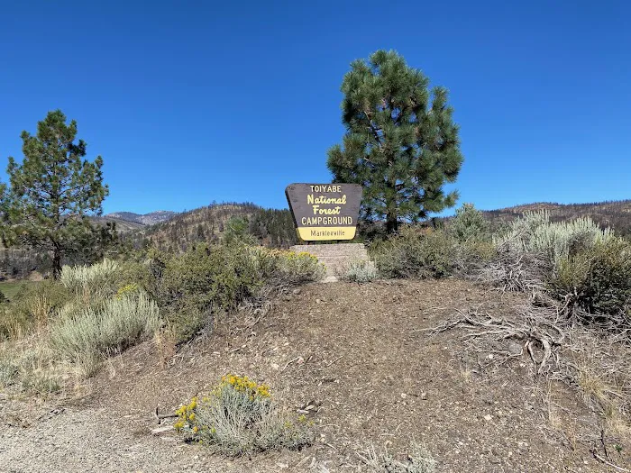 Markleeville Campground Picture 1