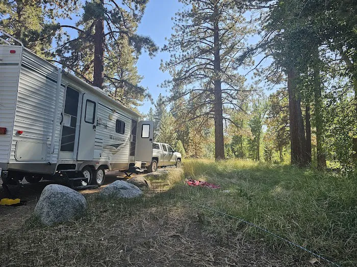 Markleeville Campground Picture 5