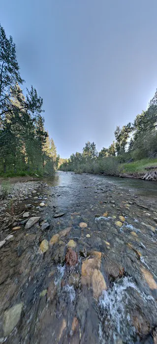Markleeville Campground Picture 10