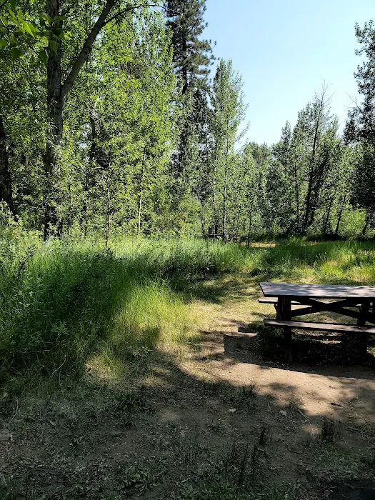 Markleeville Campground Picture 7