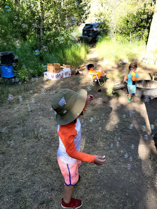 Markleeville Campground Picture 8