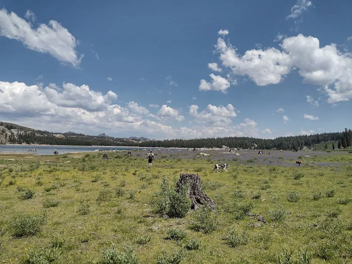 Upper Blue Lake Dam Site Expansion Campground Picture 10