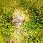 Sunrise Shores Manufactured Home Community