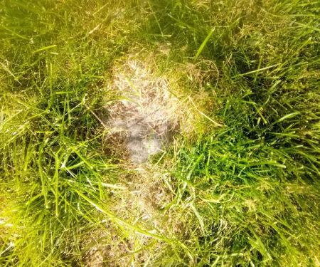 Sunrise Shores Manufactured Home Community