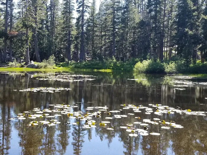 Upper Blue Lake Dam Site Campground Picture 2