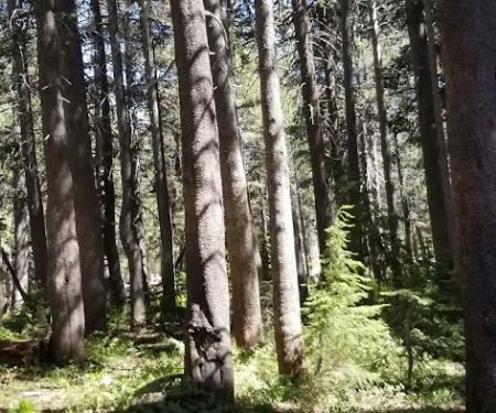 Upper Blue Lake Dam Site Campground
