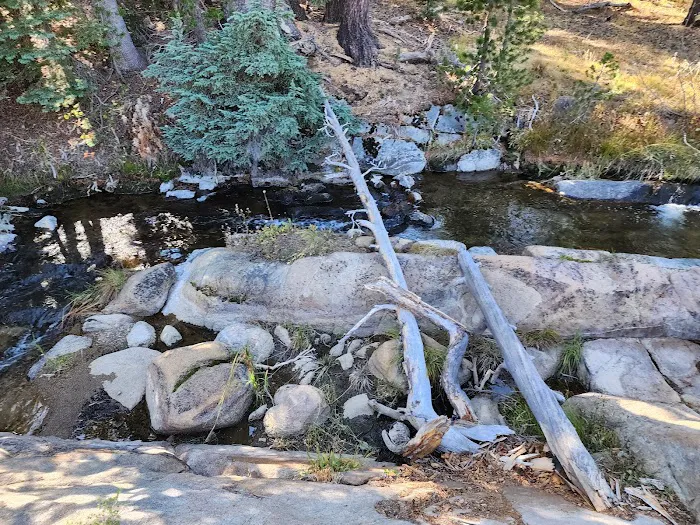 Middle Creek Campground Picture 9