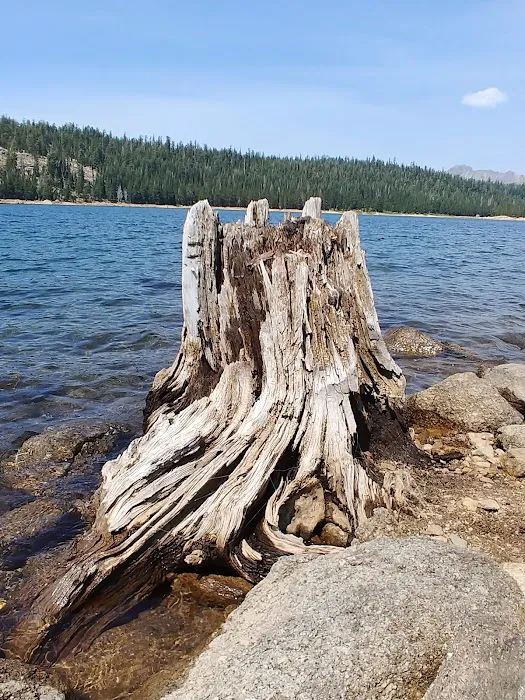 Lower Blue Lake Campground Picture 7