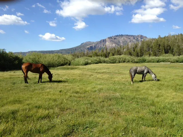 Plasse's Resort Picture 3