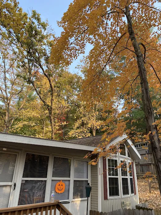 Pioneer Park Ltd Picture 4