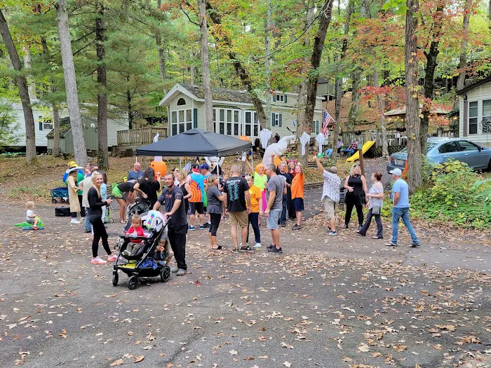 Pioneer Park Ltd Picture 10