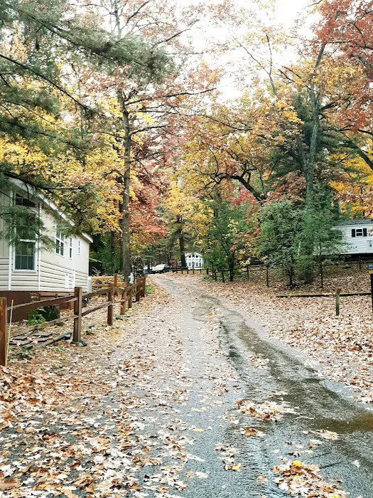 Pioneer Park Ltd Picture 3