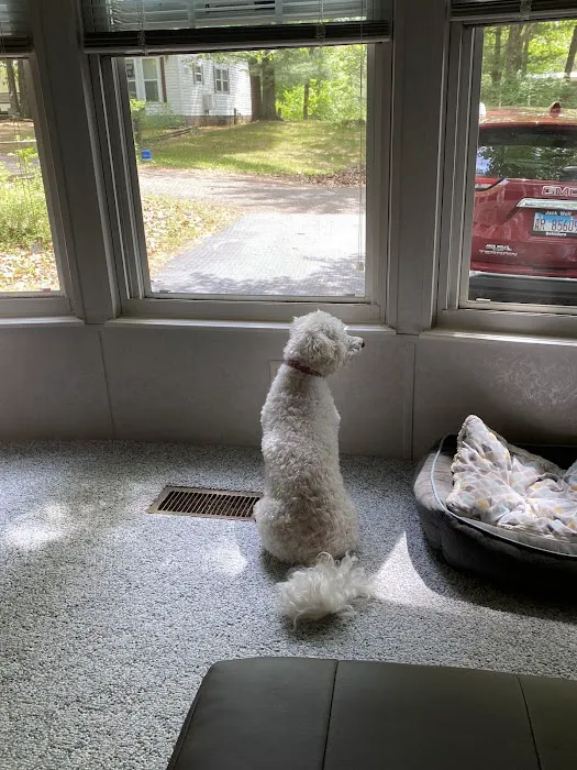 Pioneer Park Ltd Picture 2