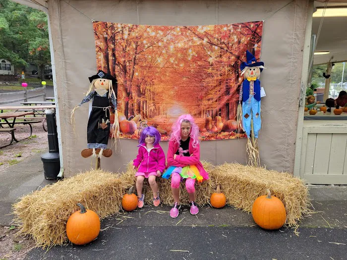 Pioneer Park Ltd Picture 8