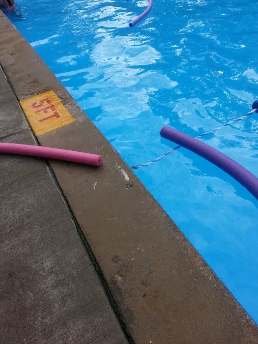 Pioneer Park Ltd Picture 9