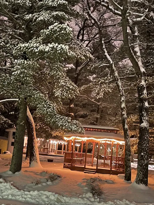 Pioneer Park Ltd Picture 7