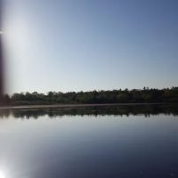 Lower Dells Estates ico