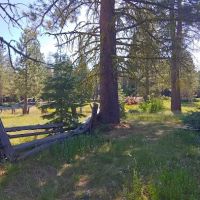 Silver Fork Ranch ico